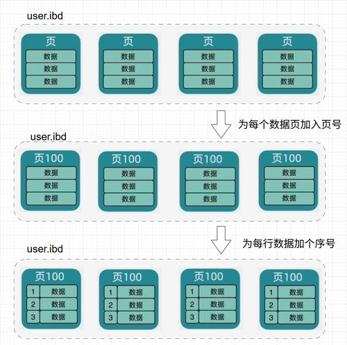 MySQL架构揭秘 从数据存储到高效查询的奥秘