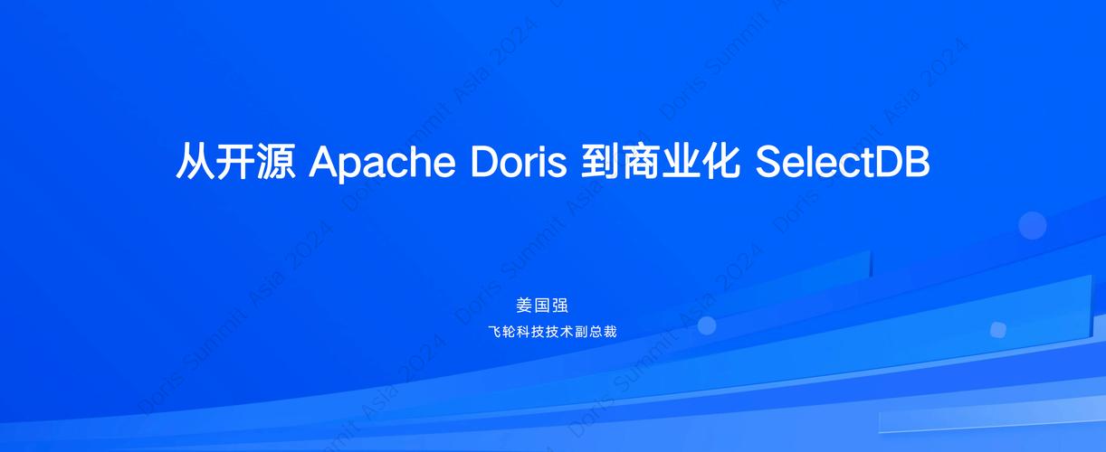 从开源Apache Doris到商业数据处理与存储支持服务